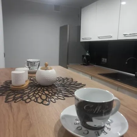 Apartament W Centrum Raciborza Zewnętrze zdjęcie