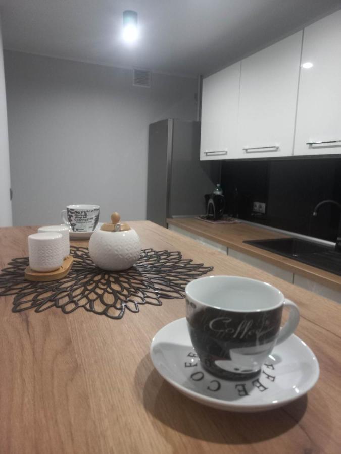 Apartament W Centrum Raciborza Racibórz