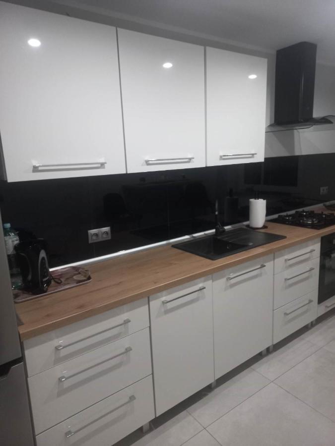 W Centrum Raciborza Apartment Raciborz