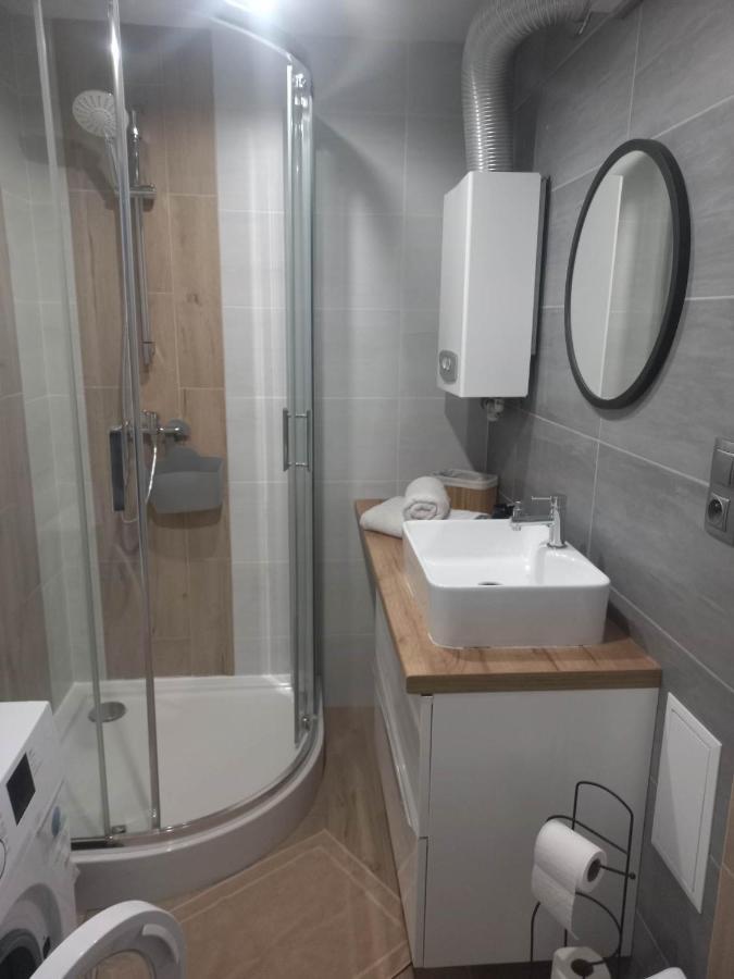 W Centrum Raciborza Apartment *